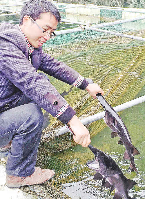 西部经济网 贵州 贵阳 未分类 贵州台江首次养殖鸭嘴鱼成功    近年来